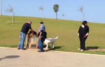 من جديد - الكلاب تُزاحم البشر على مياه الشرب في المتنزهات العامة في يافا 